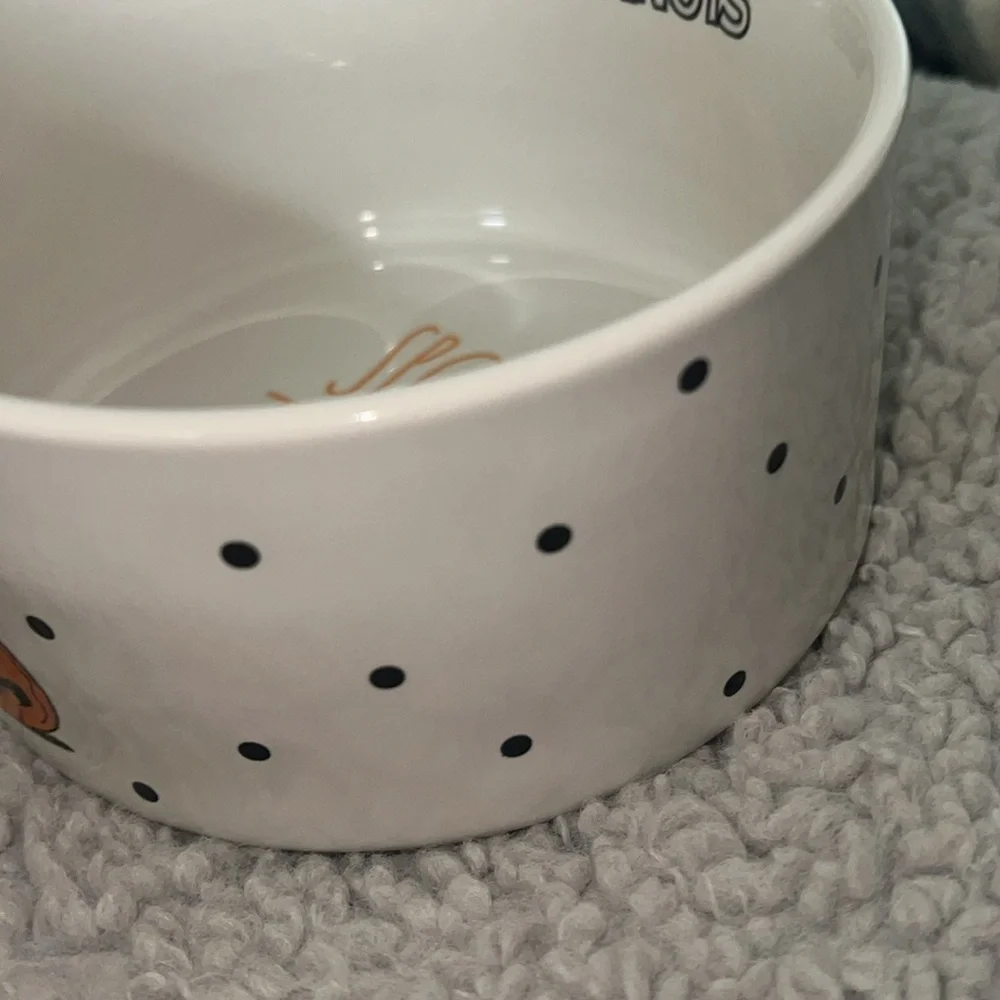 New Rae Dunn Halloween peanuts snoopy dog food bowl